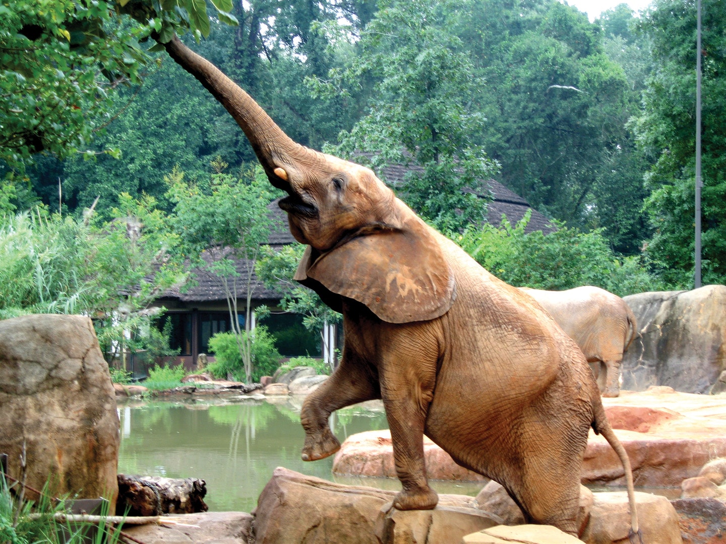corporate-ticket-club-riverbanks-zoo-columia-south-carolina